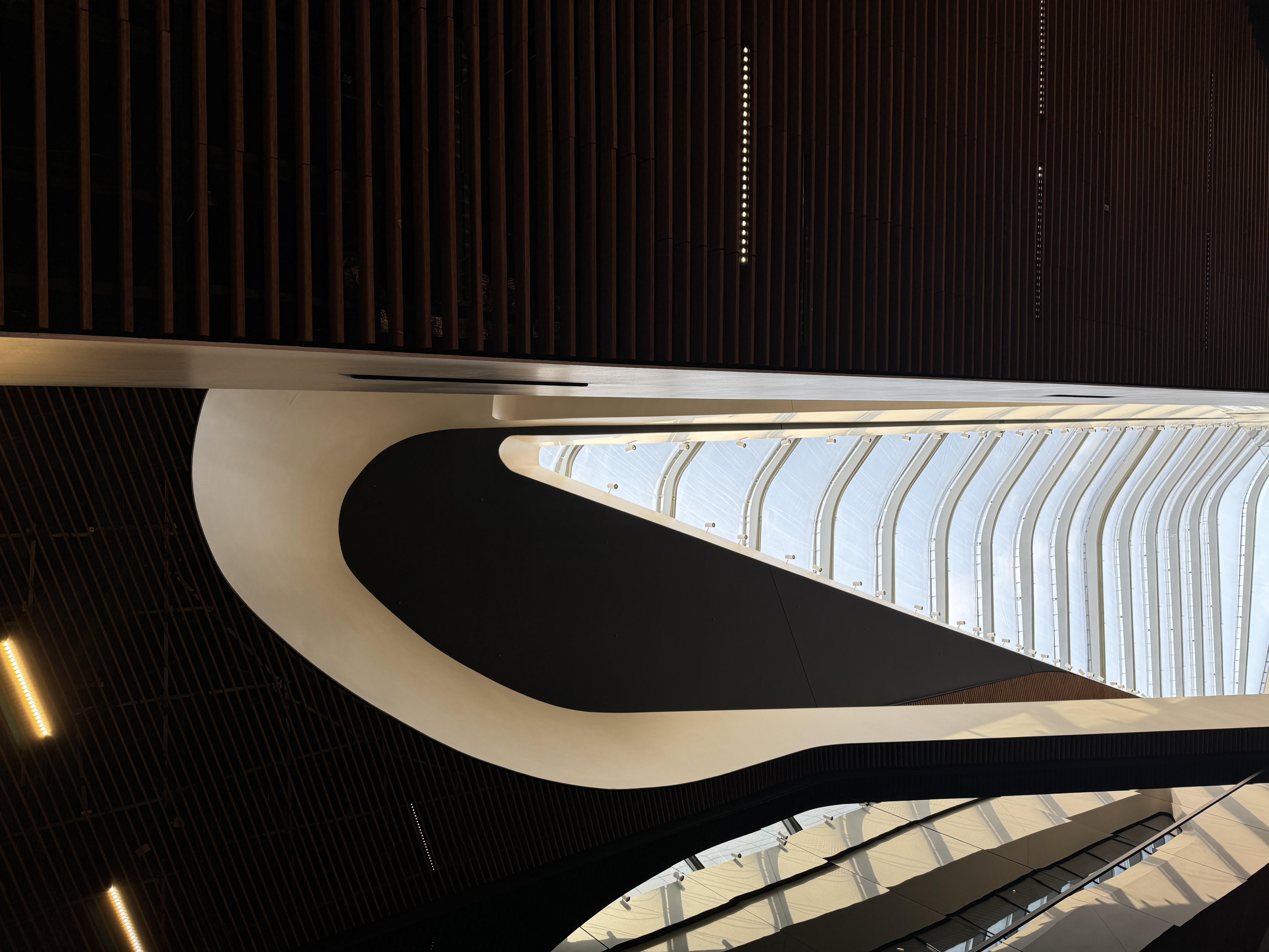 Curved interior architecture beneath a glazed roof